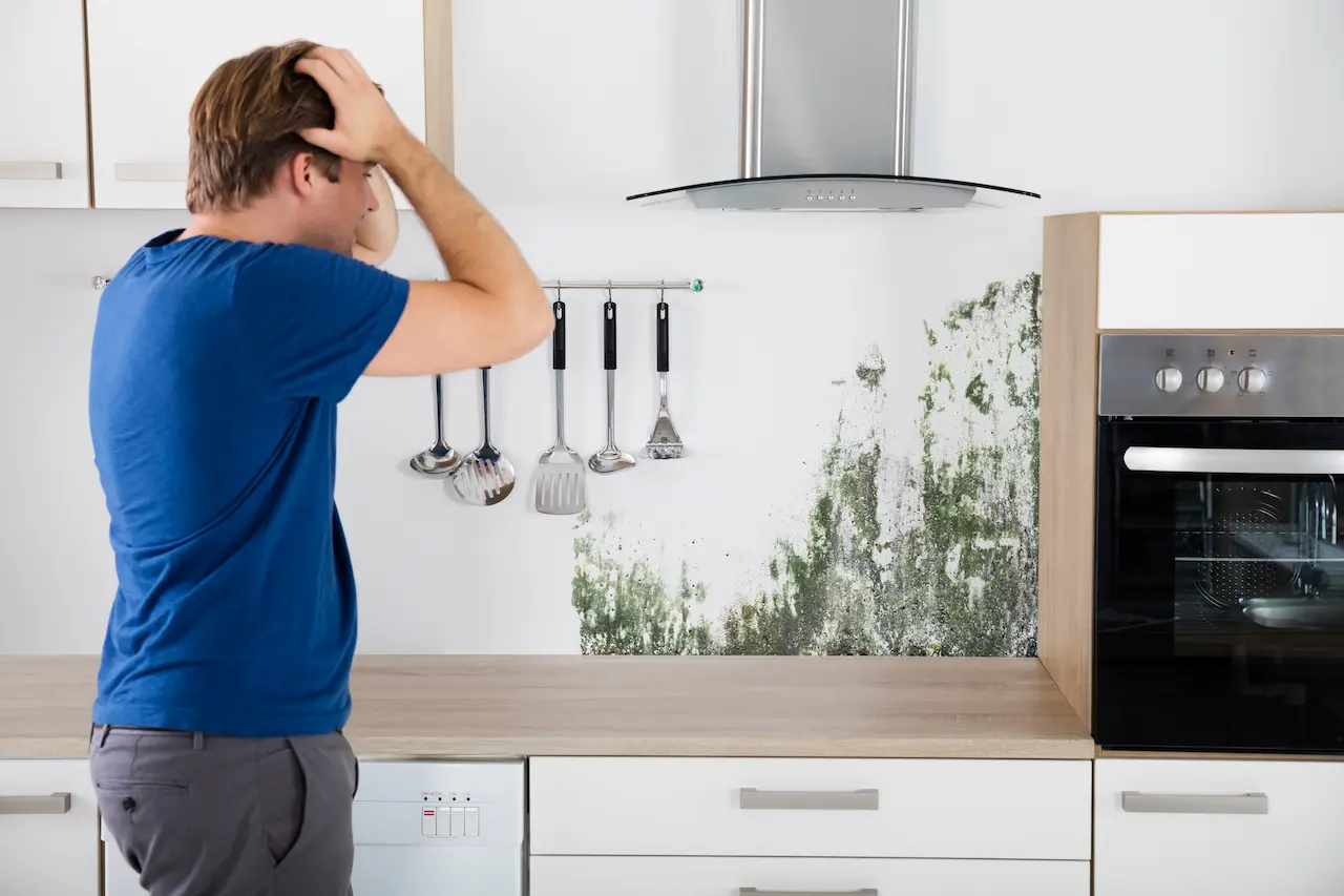 Man Shocked Seeing Molds on the Wall 