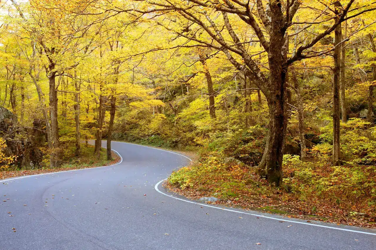 Beautiful Road of Vermont