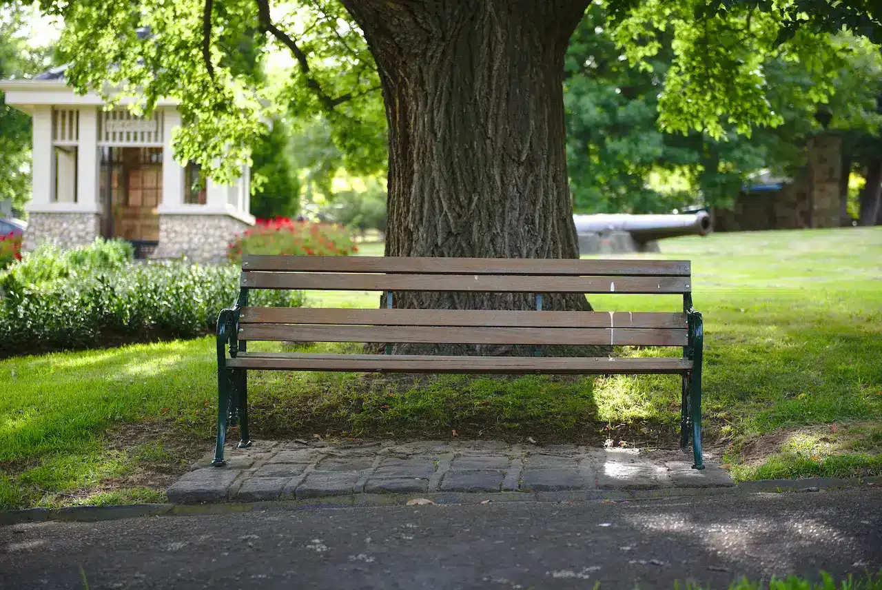 Bench under the Shady Tree in a Surrey Hills Park