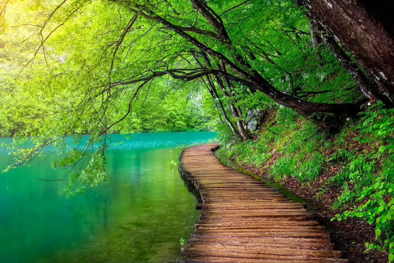 Crystal Clear Water in the Sunshine