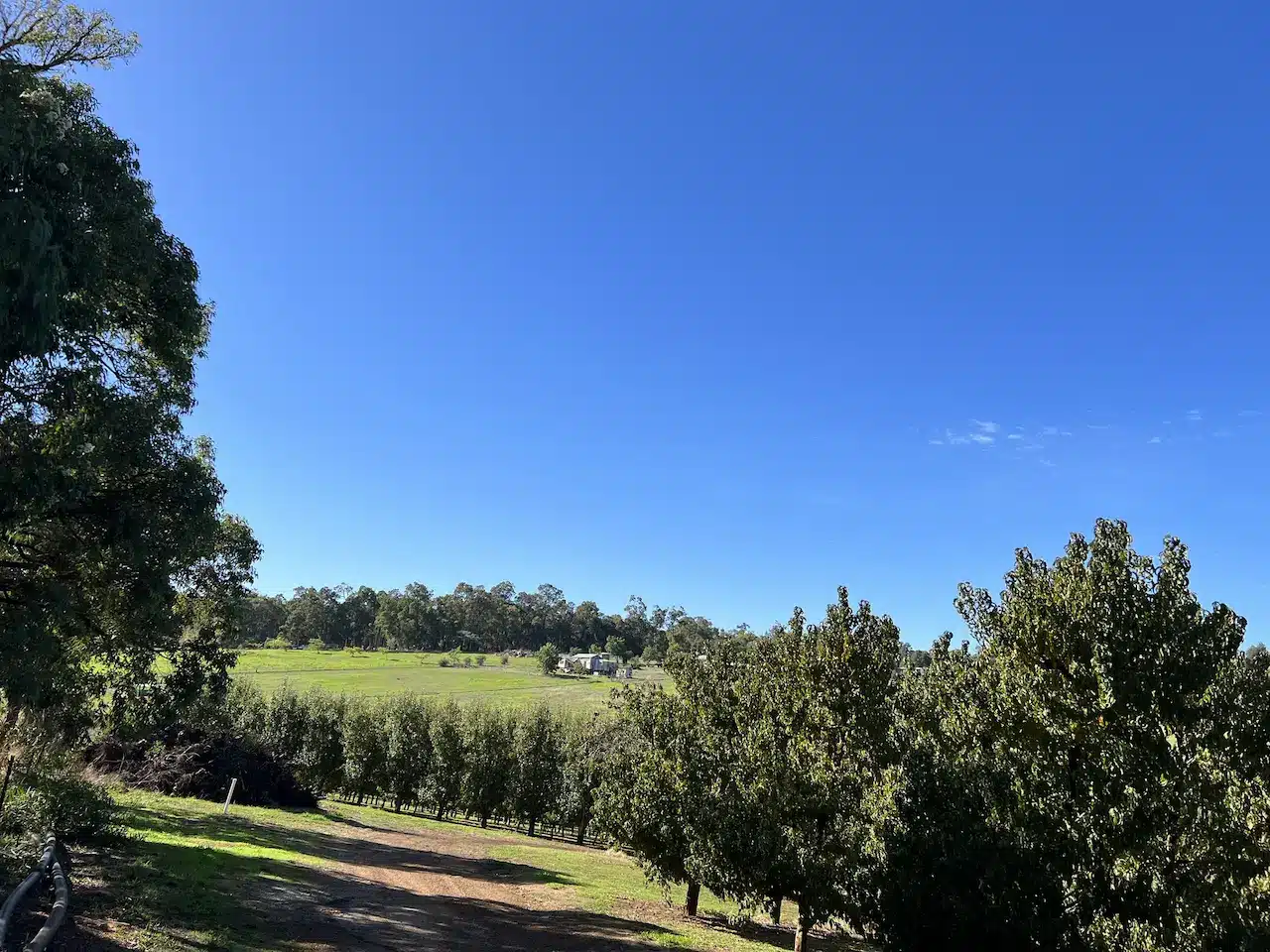 Farm View at Park Orchards, Australia