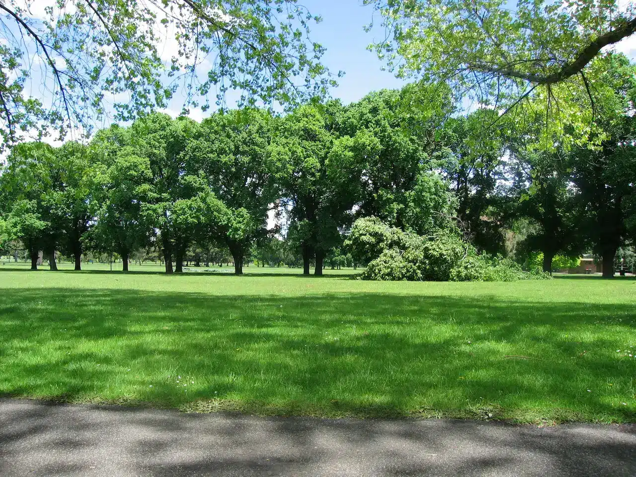 Fawkner Park