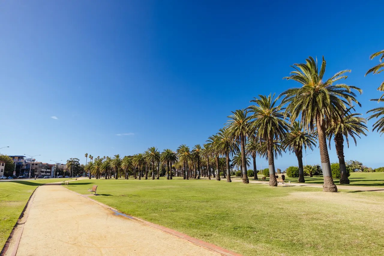 Warm Summer Morning Near St Kilda West Beach