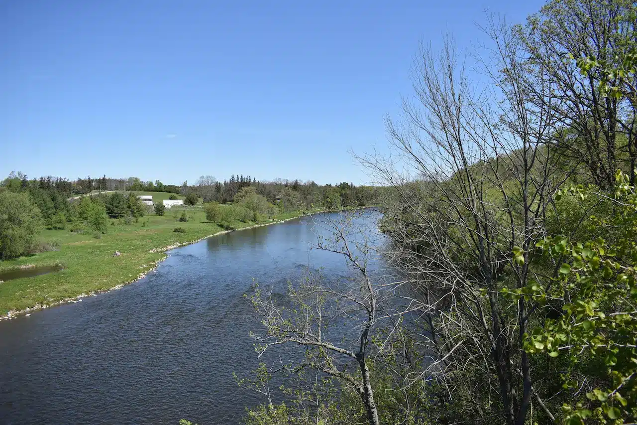 Braeside Pentecostal Camp in Summer
