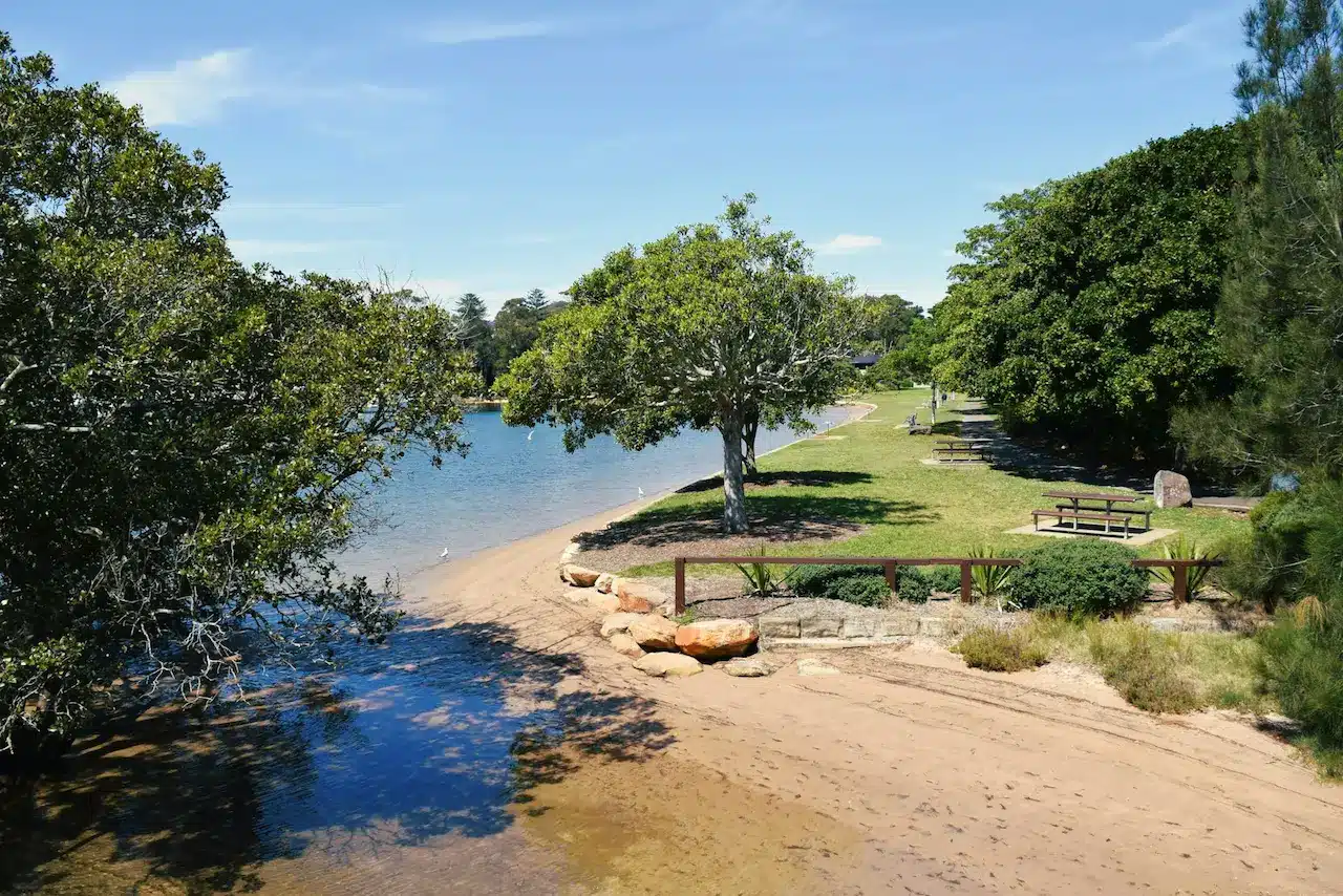 Forest Park Near the River