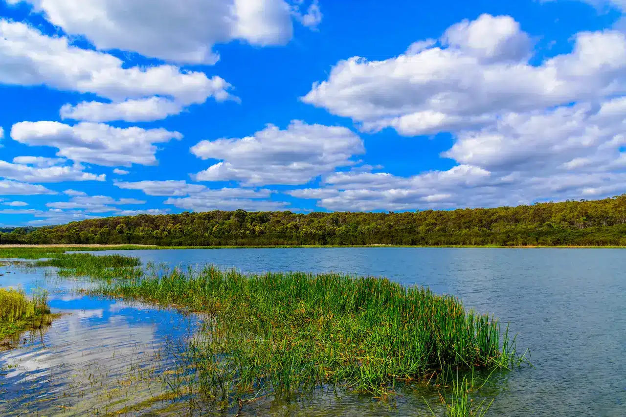 Lysterfield lake in Narre Warren