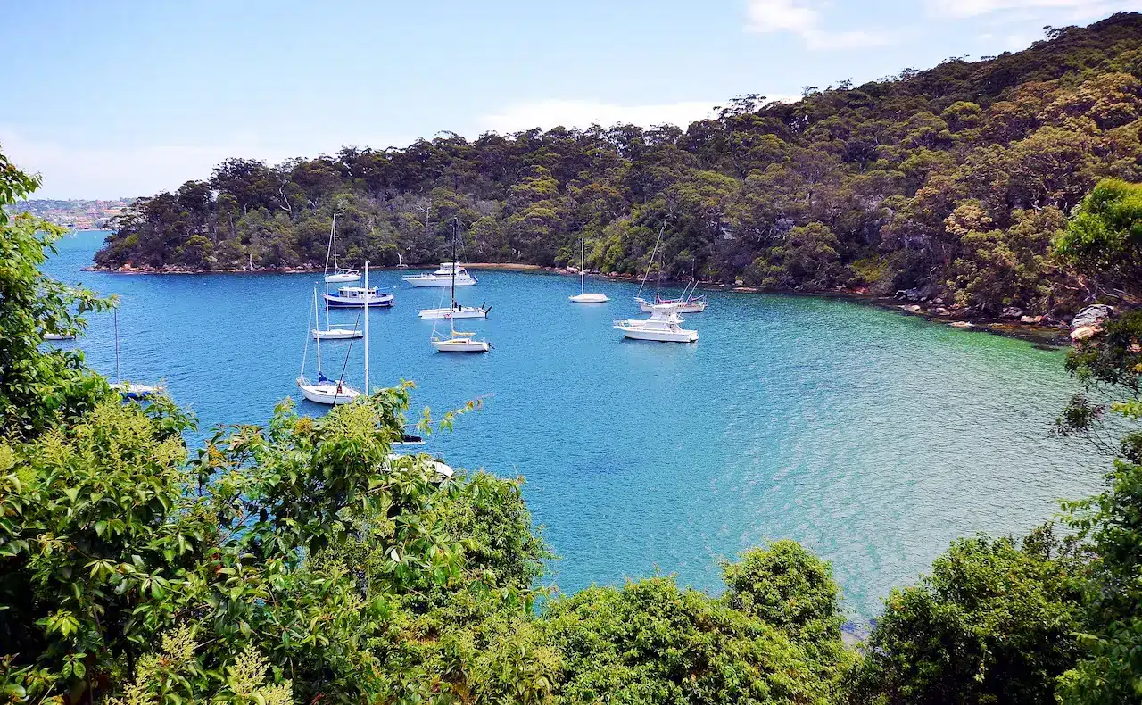 Aerial Biew of Taylors Bay, Sydney Harbor National Park