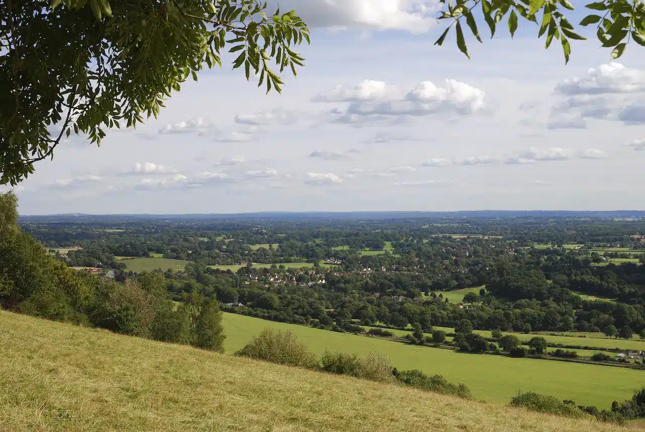 Box Hill South Landscape View