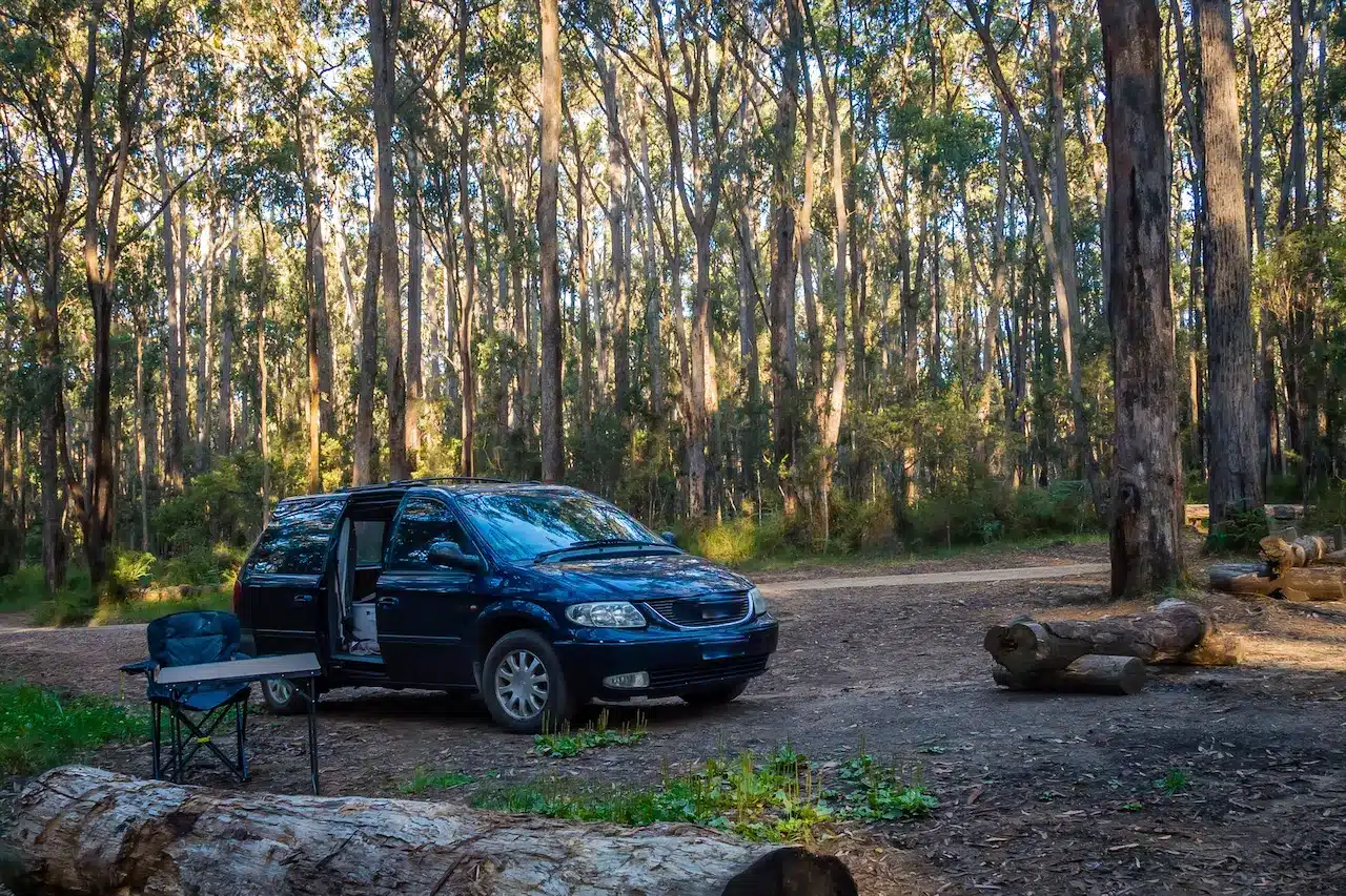 Camping in the Forest in Australia in Bunyip State Park
