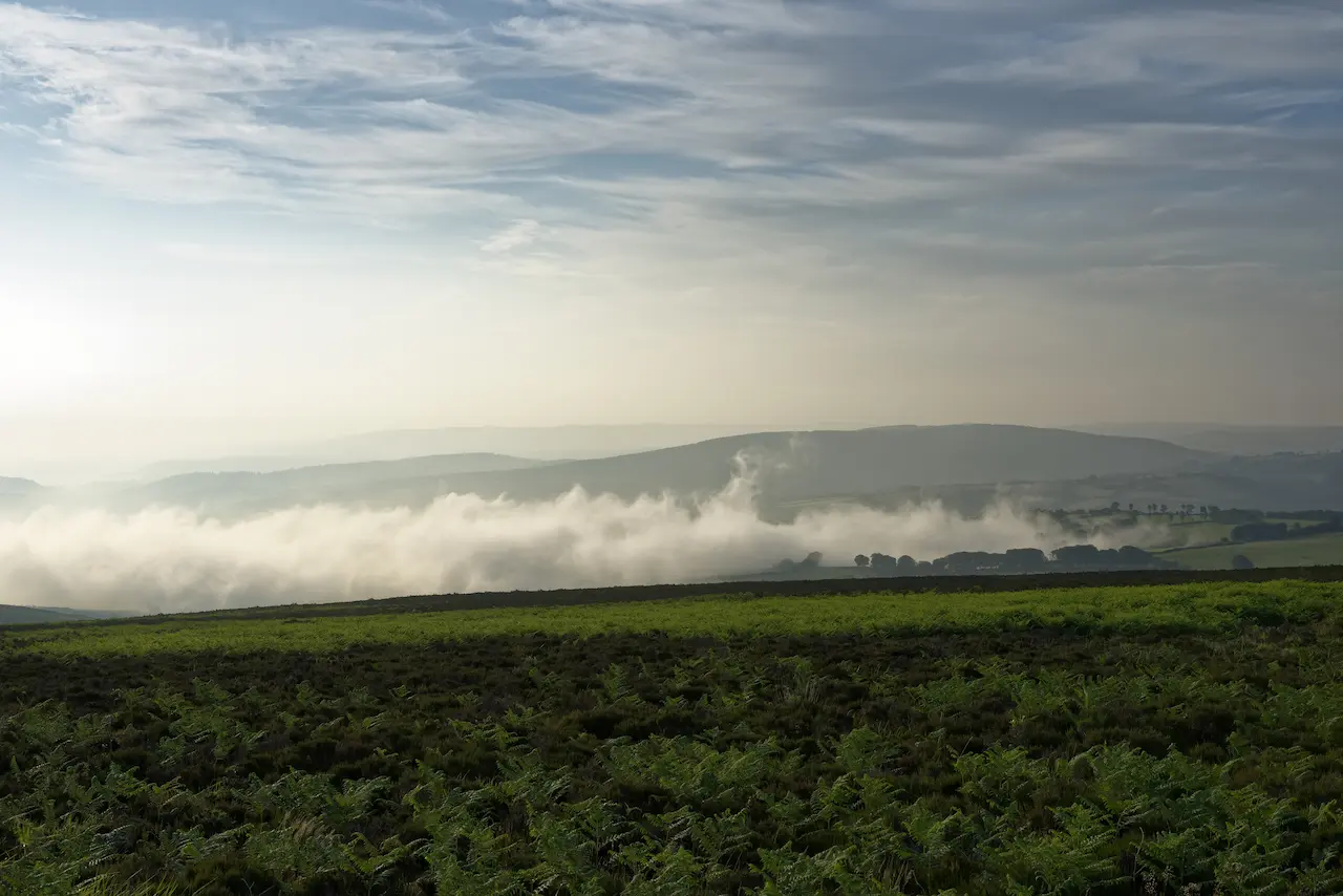 Early Morning Mist Over Croydon Hills