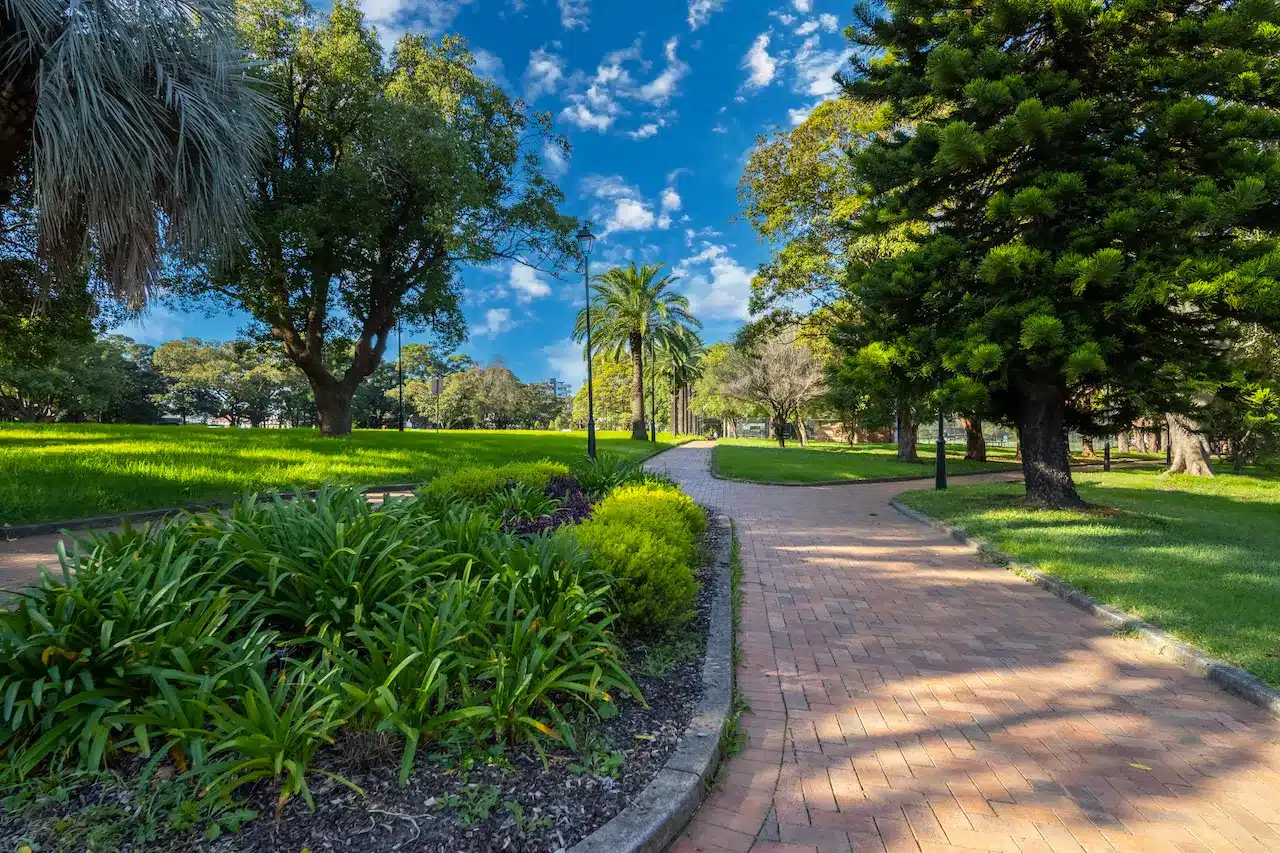 Green Grass and Trees in Burwood