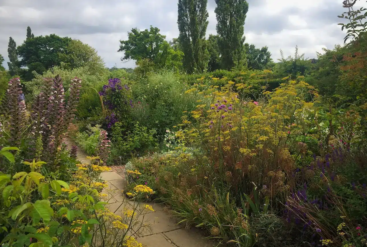 Trees and Plants in the Garden Landscaping in Warranwood