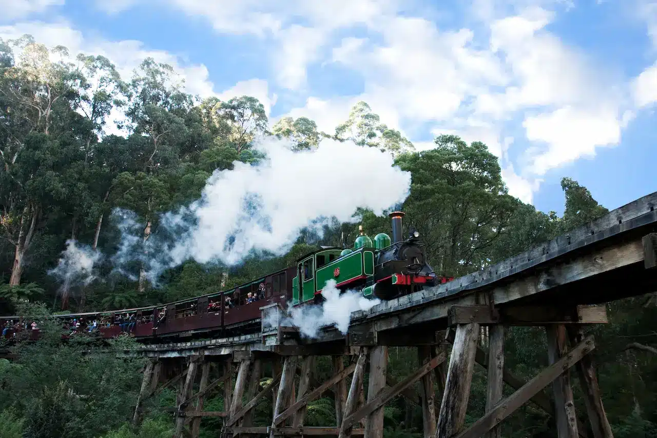 Trestle Bridge Among Mountain Ash Forest in Belgrave